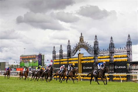 sportsbet melbourne cup|How to Stream the Melbourne Cup .